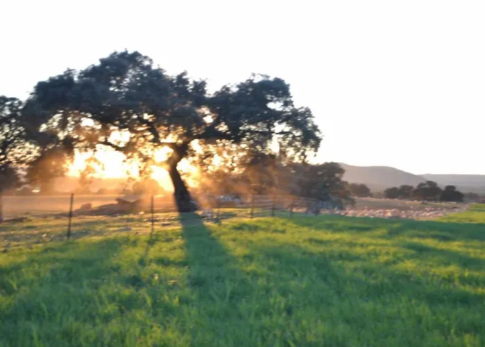 Finca El Vizconde Naturaleza Con Tus Hijos